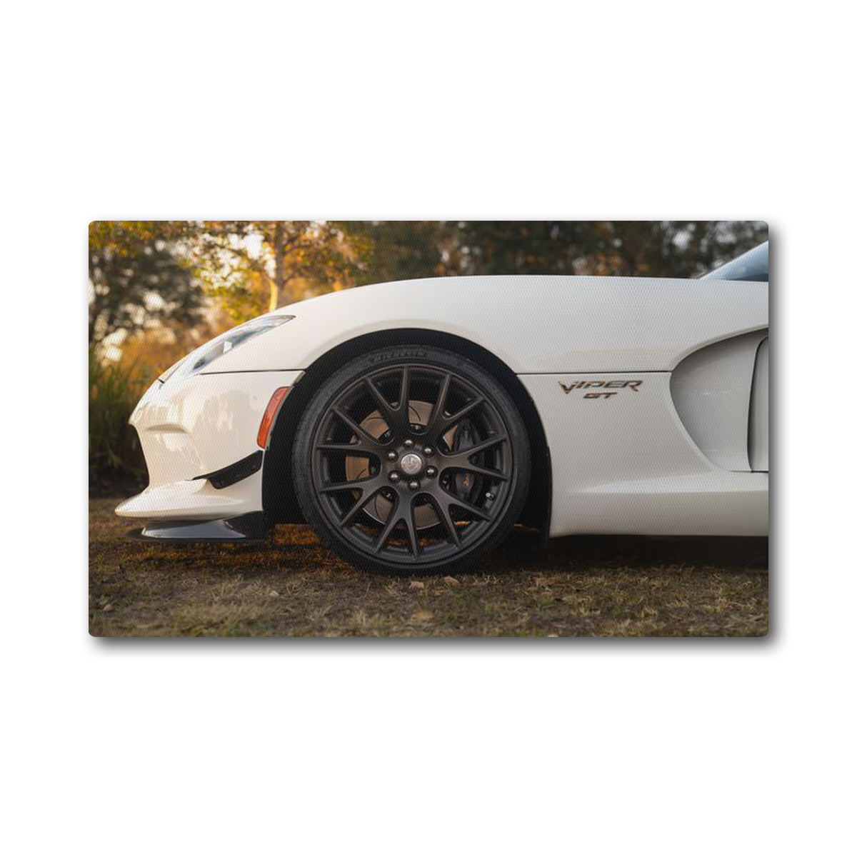 Viper Canvas