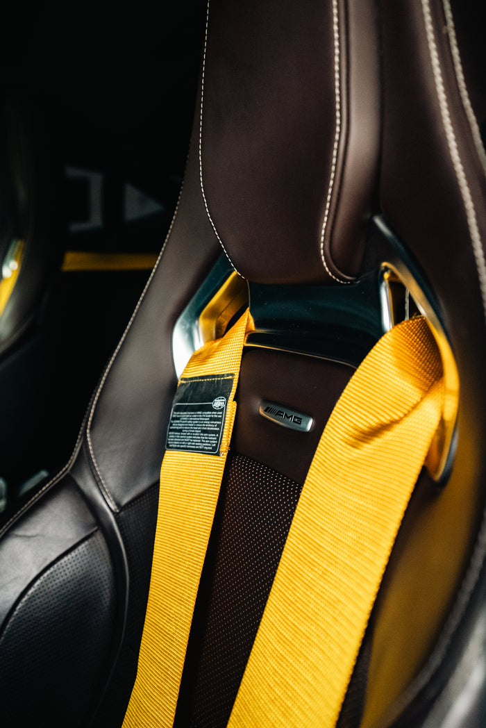Roll cage and harness setup
